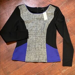 🌻3/$15🌻 Ann Taylor Fitted Long Sleeve Blouse